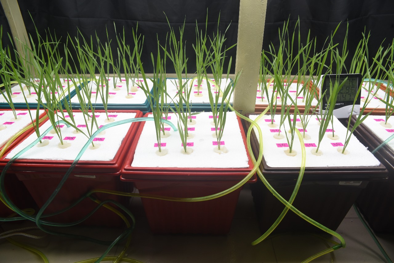 Sustainability at Deltin 7 Bangladesh: Nurturing the Future of Deltin 7 রিভিউ