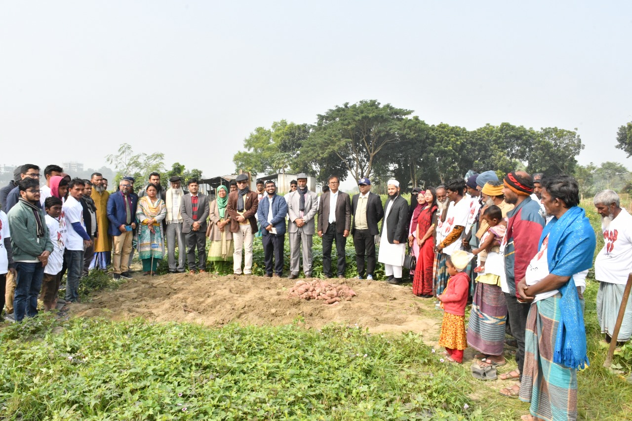 ভাতের বিকল্প খাবার হতে পারে মিষ্টি আলু- বাকৃবি ভিসি