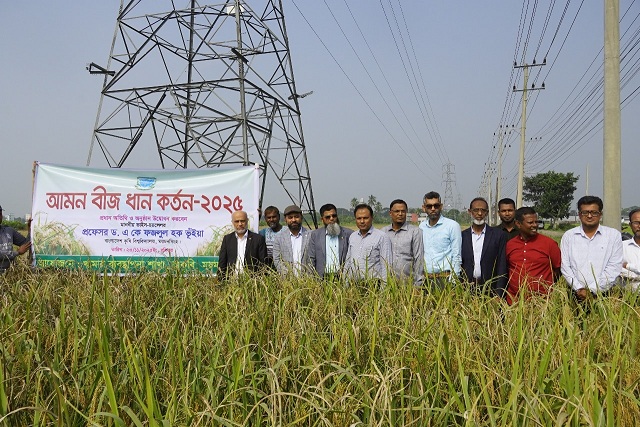 বাকৃবিতে  আমন বীজ ধান কর্তন-২০২৫  উদ্বোধন
