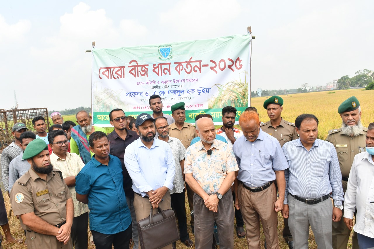 বাকৃবিতে "বোরো বীজ ধান কর্তন-২০২৫" উদ্বোধন