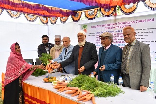 বাকৃবিতে কৃষক প্রশিক্ষণ ও মাঠ দিবস অনুষ্ঠিত