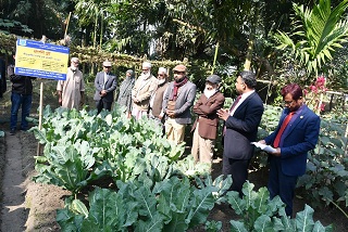 বাকৃবির বাউএক এর আয়োজনে শীতকালীন সবজি চাষ প্রদর্শনী ও মাঠ দিবস অনুষ্ঠিত