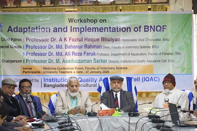 বাংলাদেশ কৃষি বিশ্ববিদ্যালয়ে ‘BNQF অভিযোজন ও বাস্তবায়ন’ শীর্ষক কর্মশালা অনুষ্ঠিত