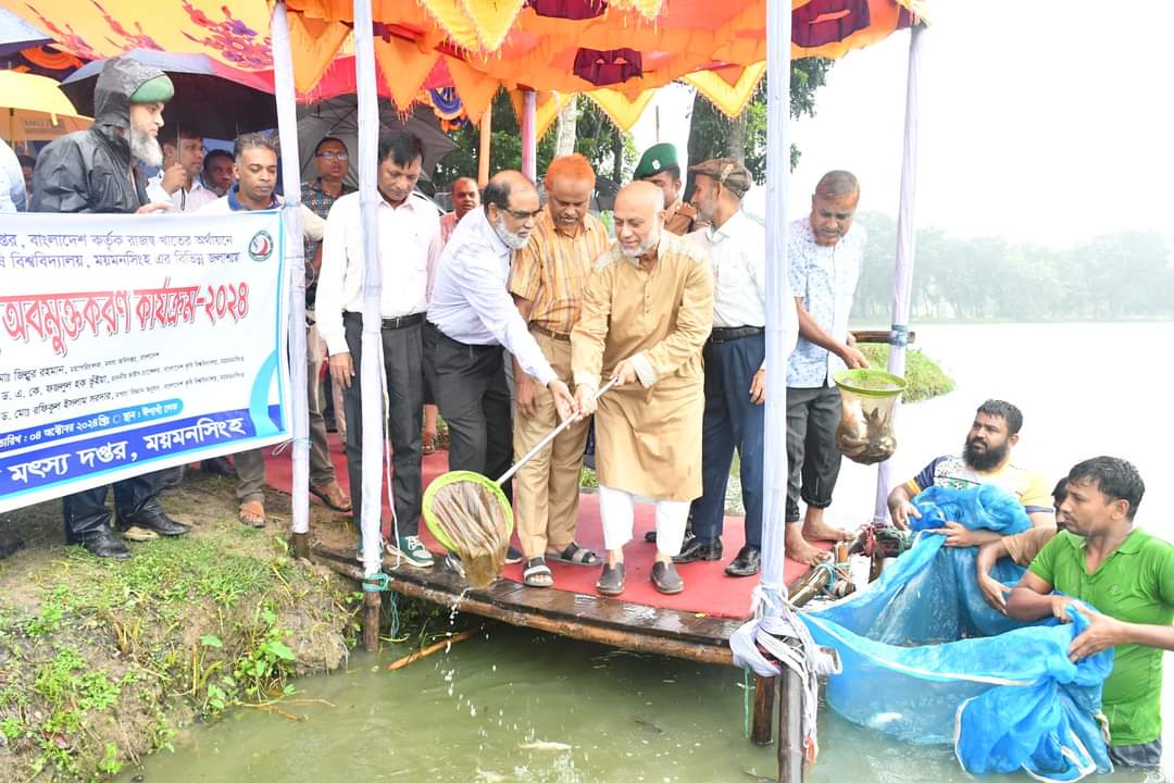 বাংলাদেশ কৃষি বিশ্ববিদ্যালয়ে পোনা মাছ অবমুক্তকরণ-২০২৪ উদ্বোধন